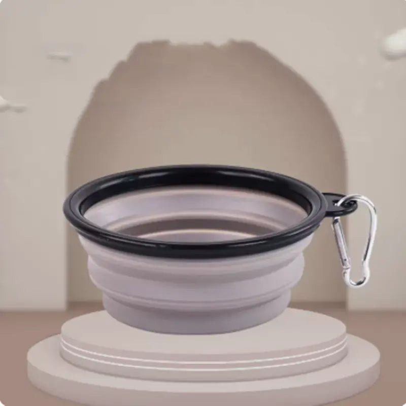 Collapsible Silicone Dog Bowl for Pets Glow circuit