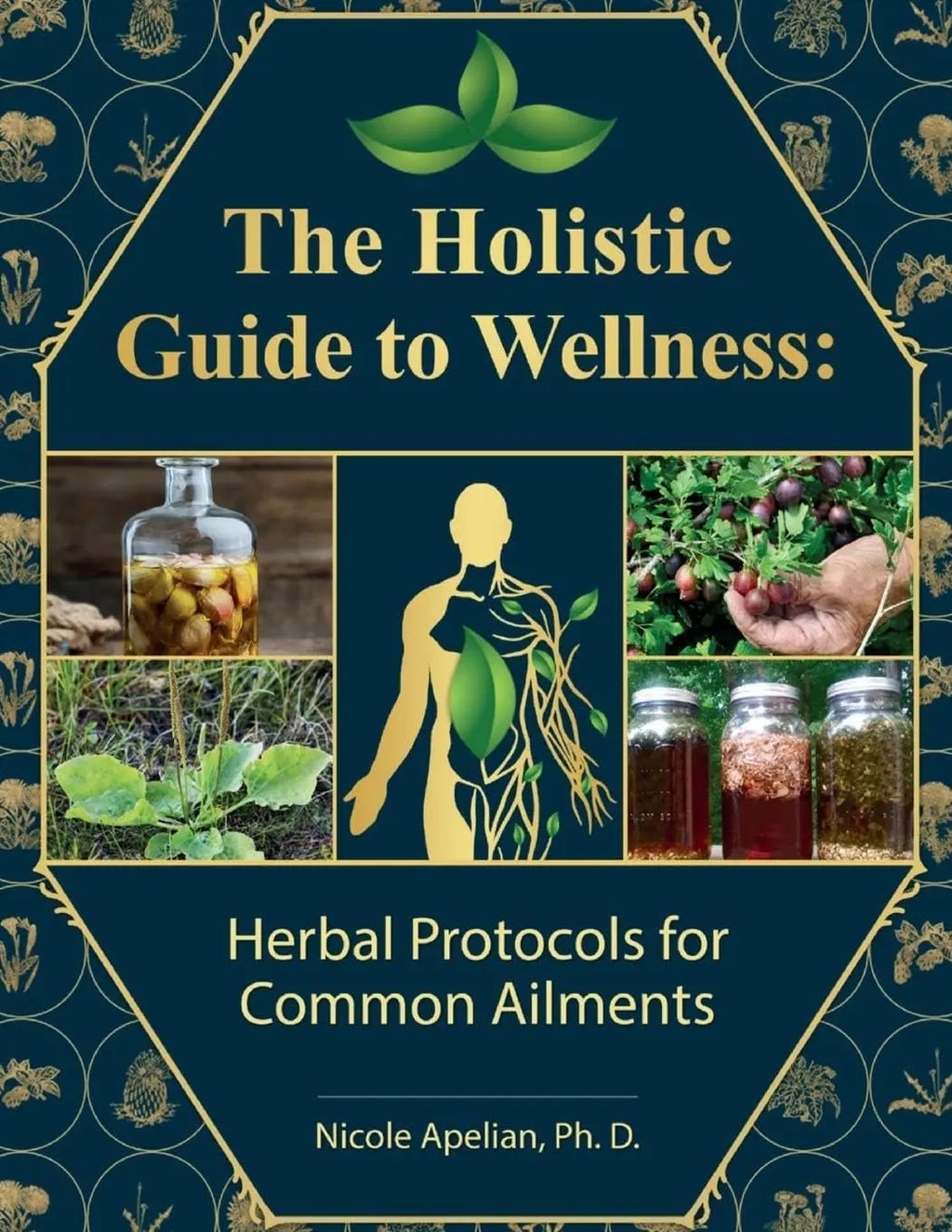 The Holistic Guide to Wellness : Herbal Protocols for Common Ailments THE HOLISTIC GUIDE TO WELLNESS