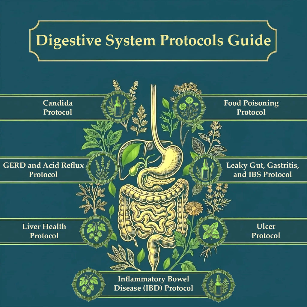 The Holistic Guide to Wellness : Herbal Protocols for Common Ailments THE HOLISTIC GUIDE TO WELLNESS
