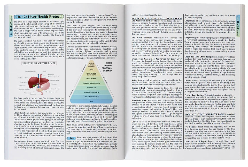 The Holistic Guide to Wellness : Herbal Protocols for Common Ailments THE HOLISTIC GUIDE TO WELLNESS