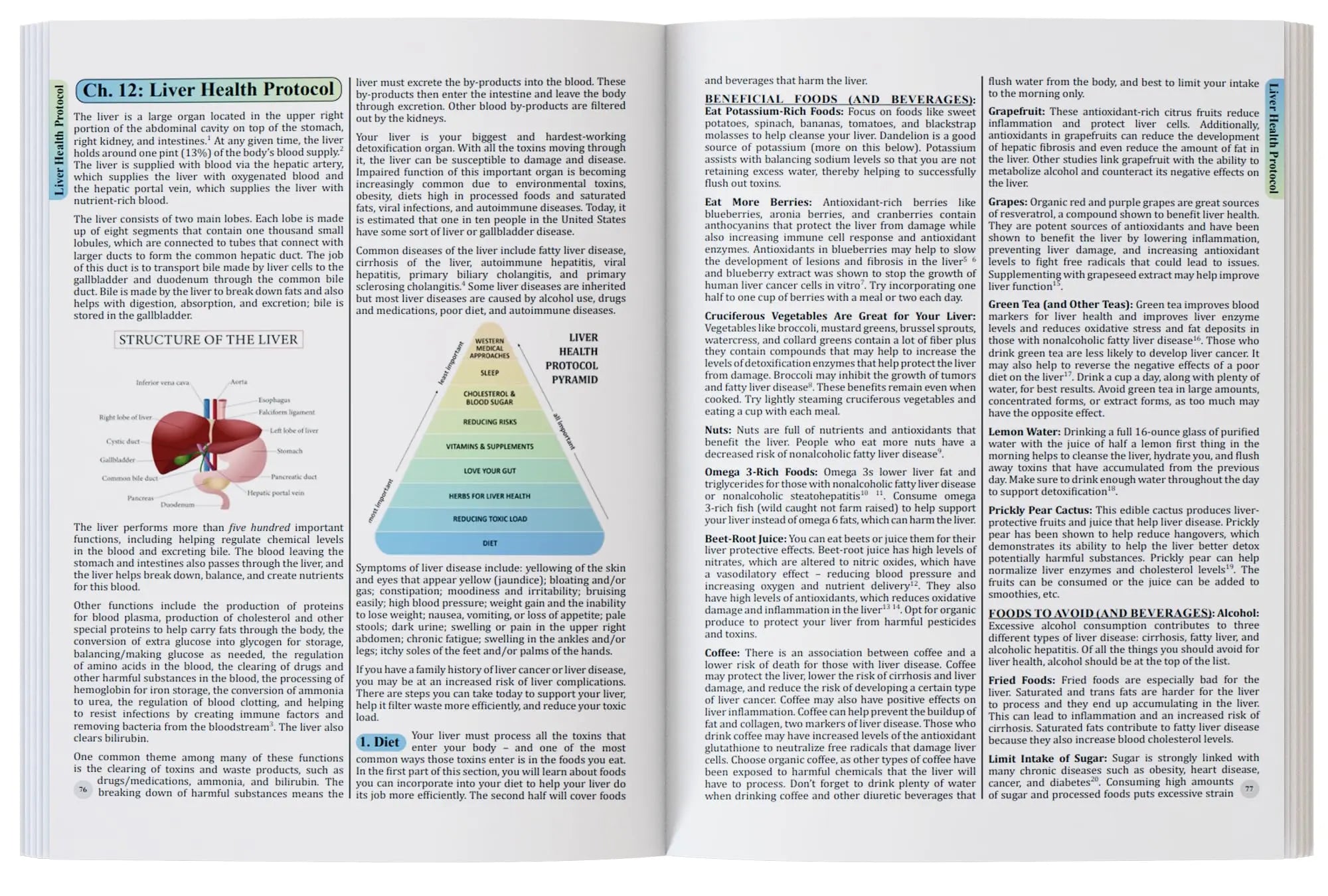 The Holistic Guide to Wellness : Herbal Protocols for Common Ailments THE HOLISTIC GUIDE TO WELLNESS