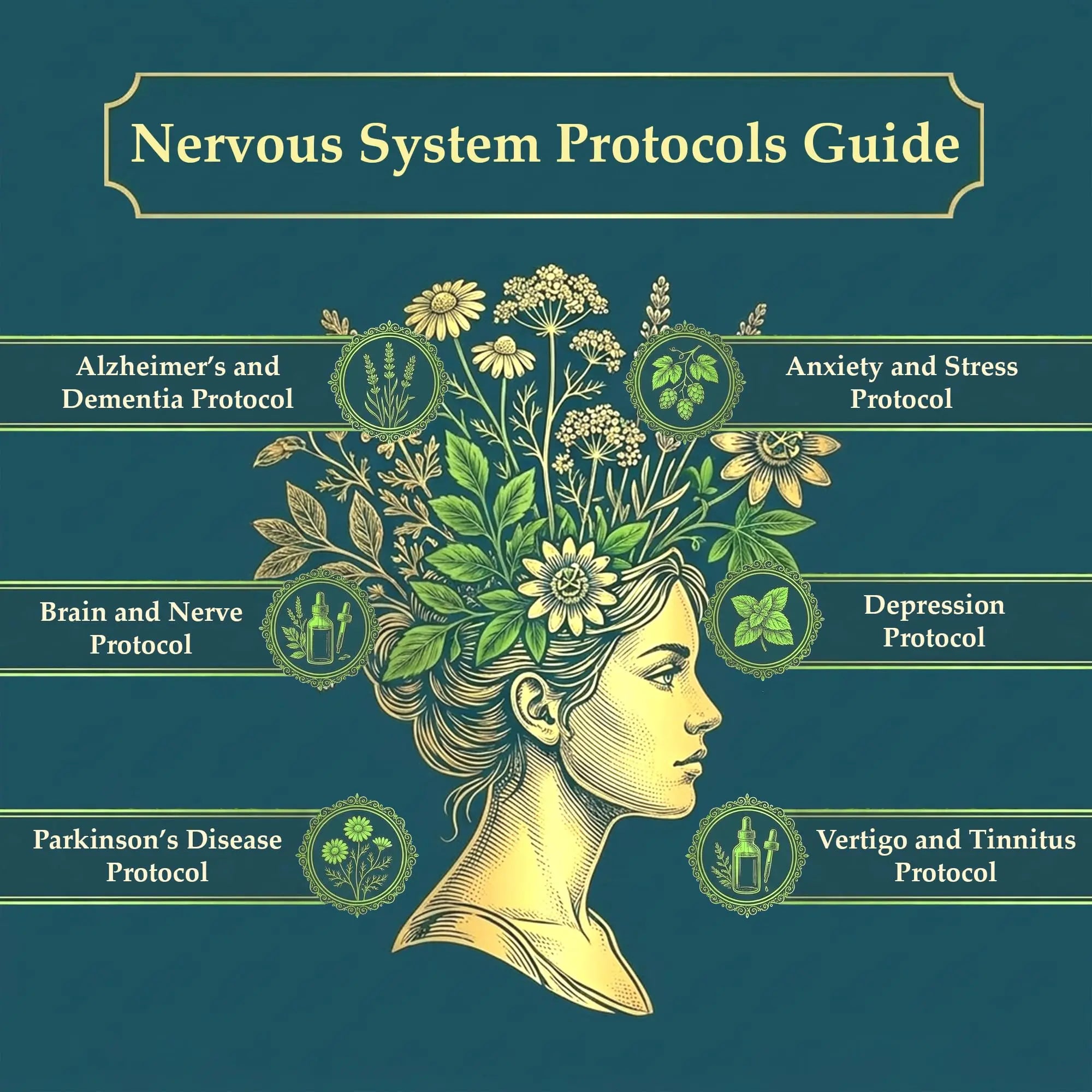 The Holistic Guide to Wellness : Herbal Protocols for Common Ailments THE HOLISTIC GUIDE TO WELLNESS