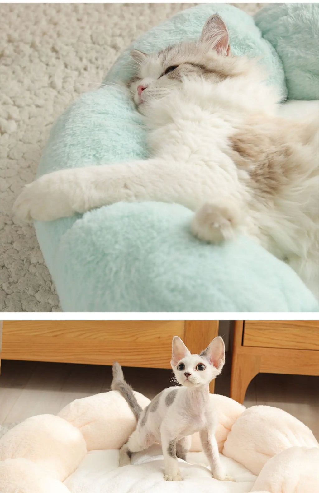 Universal Washable Cat and Dog Bed Glow circuit
