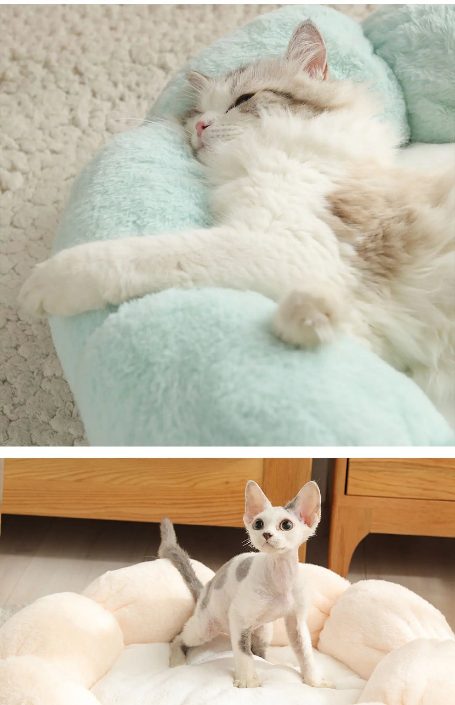 Universal Washable Cat and Dog Bed Glow circuit