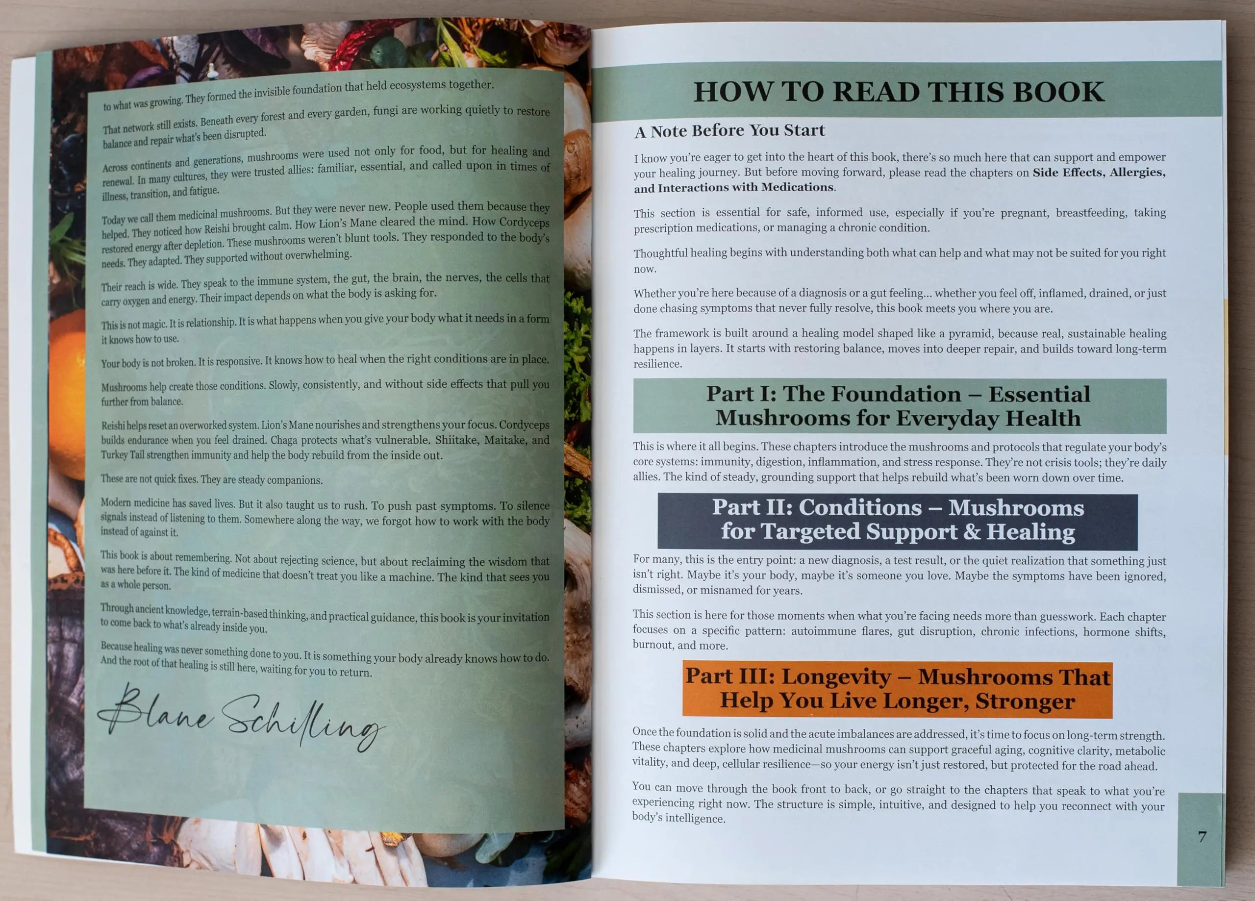 MUSHROOM MD: The Natural Way to Heal Your Body, Prevent Disease, and Add Years to Your Life Glow circuit