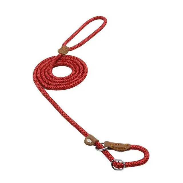 Nylon Pup Set Glow circuit