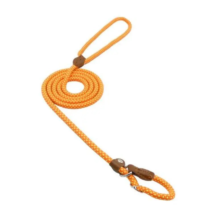 Nylon Pup Set Glow circuit